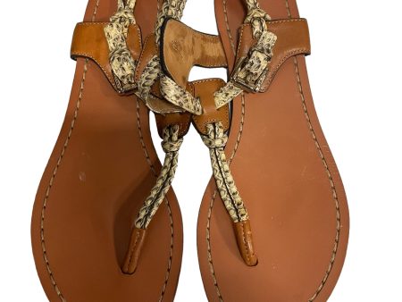 Snakeskin Print Sandals Designer Coach, Size 6 Discount