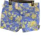 Blue & Green Shorts Loft, Size 8 Supply